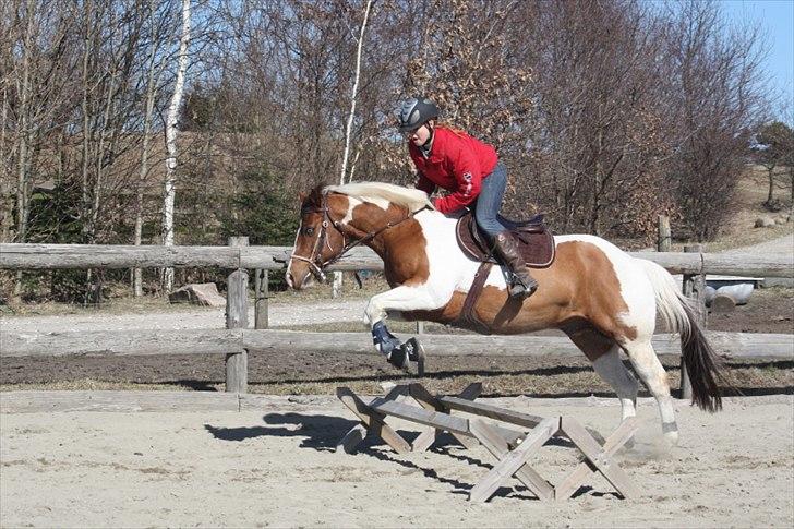 Paint Ima Cutter Kid (mors) - 28. marts 2011 billede 8