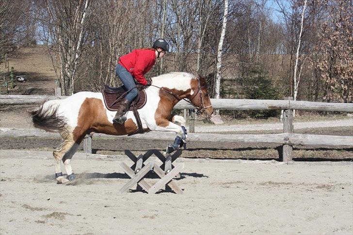 Paint Ima Cutter Kid (mors) - 28. marts 2011 billede 10