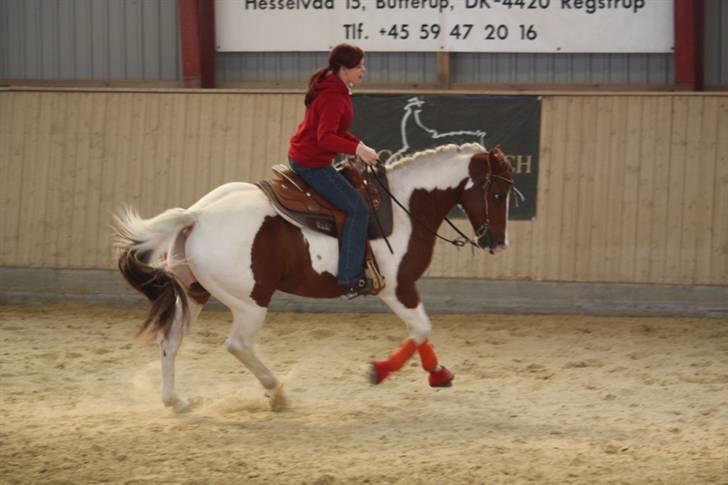 Paint Ima Cutter Kid (mors) - Clinic på Tuse Creek Ranch med James Hansen billede 19