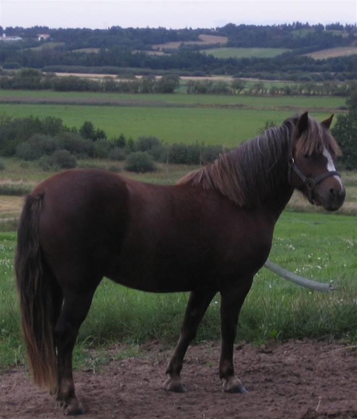 Anden særlig race Mona - Hvis du ikke har flere godbidder, så går jeg altså... billede 4