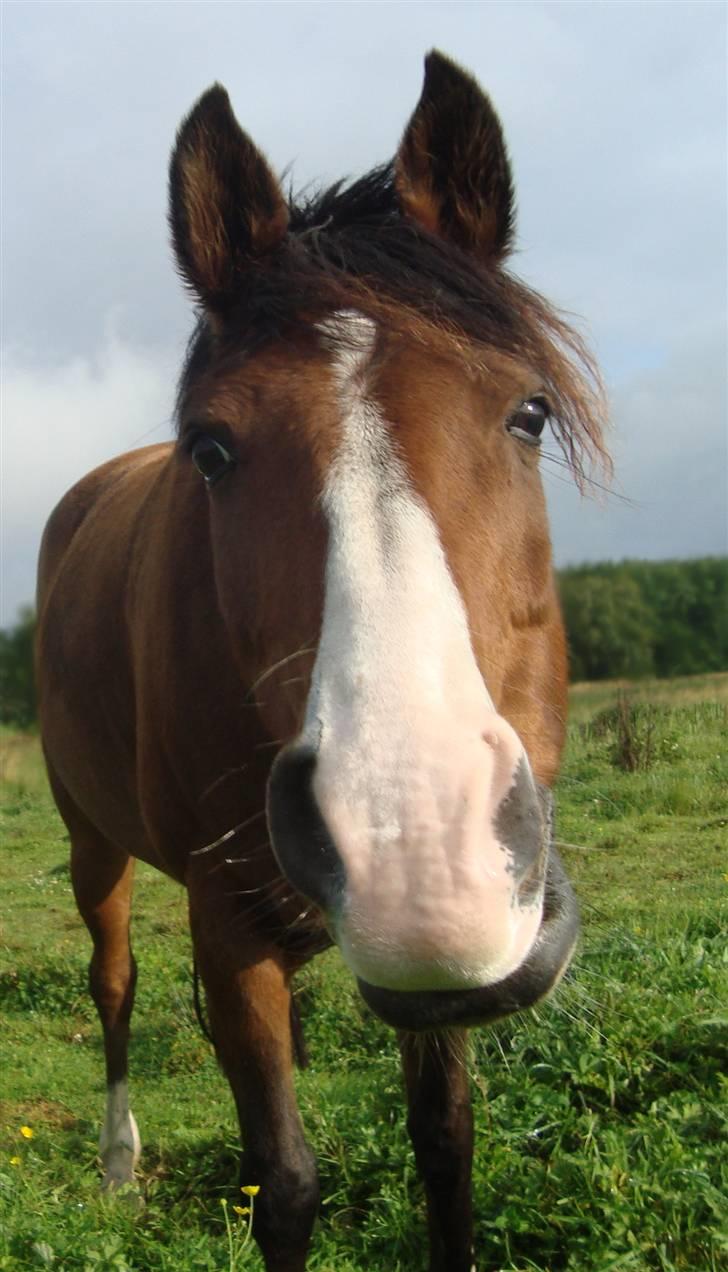 Anden særlig race Kisandra *R.I.P.* - Kisandra<3 billede 10