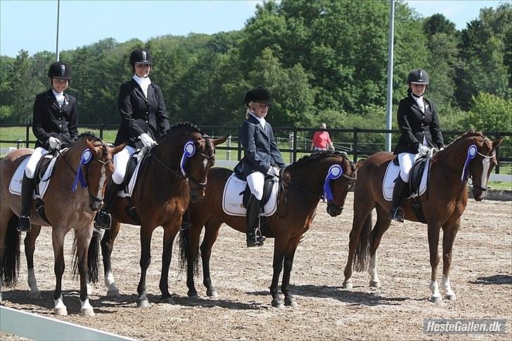 Hollandsk Sportspony Miss-Shadow (Aflivet) -  Ballerup distrikt mesterskab hold, distrikt 1, 2.plads :) Mig, Caroline, Katrine & Mille. billede 3