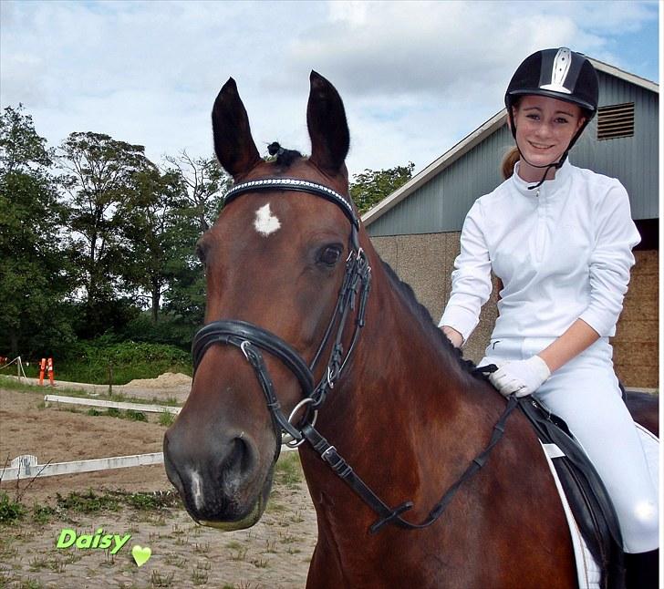 Hollandsk Varmblod Daisy - August 09 billede 19