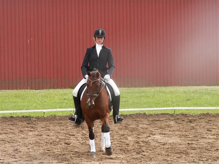 DSP Manilla M solgt billede 16