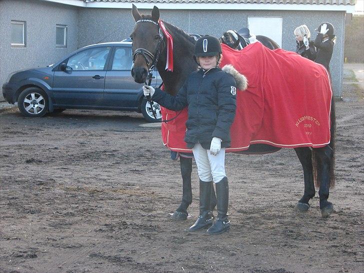 Tysk Sportspony Miss sunshine B pony i dressur - Klubmester for pony 2010 billede 16