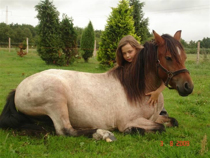 Anden særlig race Hedins anna-bella (solgt) billede 11