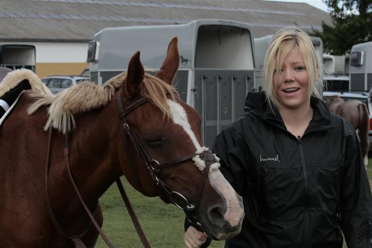 Sportsaraber (A) Alsita Ox  - store søster & alsita billede 18