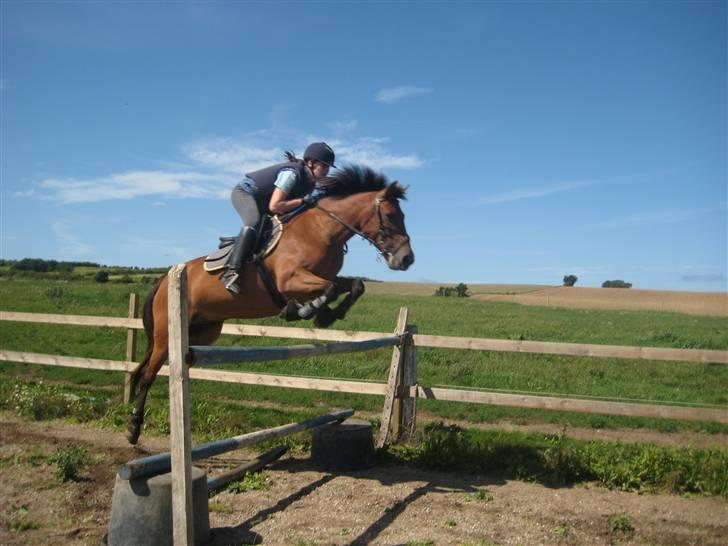 Anden særlig race Robin-Rider den ikke mere - Simone Vestergaard skulle prøve at springe ham, det blev så til 115 cm billede 11