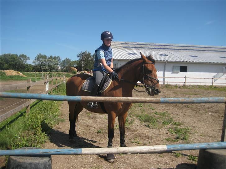 Anden særlig race Robin-Rider den ikke mere - Lille Robin ;D billede 12