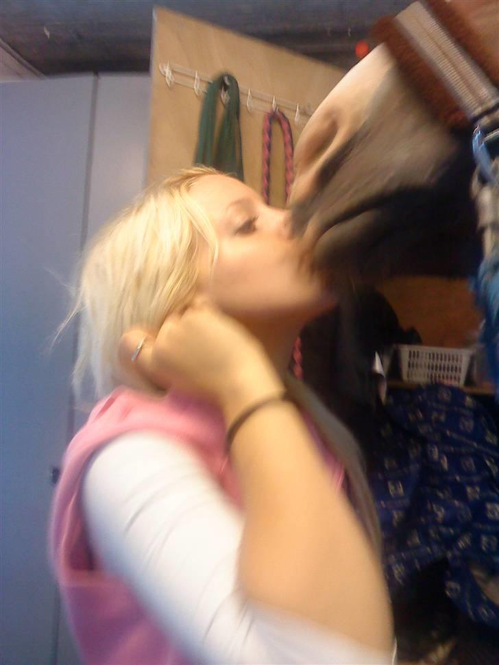 Dansk Varmblod  Uniqe - Bedste ven- SAVN - Mig og min skat kysser, jeg har næsten lige lært ham det. <3 Jeg elsker dig Uniqe <33 Foto :misse . o9 .  billede 18
