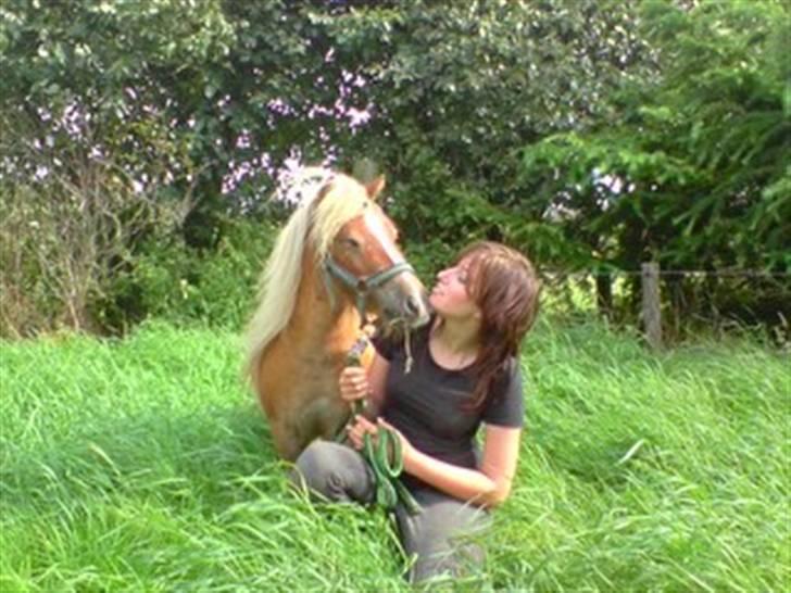 Shetlænder Bette Klaus - min hund :) - Første dag :) billede 14
