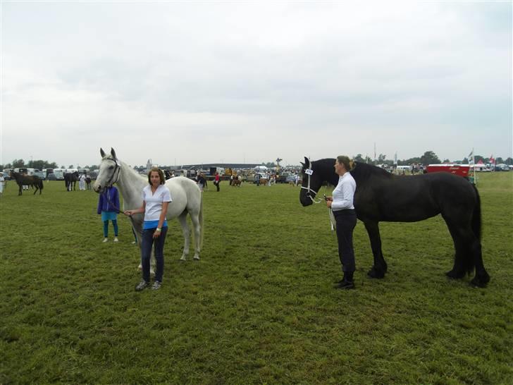 Shagya Araber (SH) # obalina^^*- - er lige til dyrskue i aulum..... ( : pernille siger: at jeg var dygti og dejlig rolig at have med og hun elsker mig .......<3 billede 14