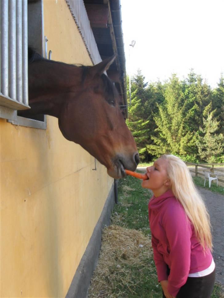 Anden særlig race Penelope<3 billede 1