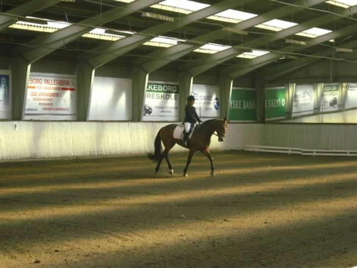 Anden særlig race Penelope<3 billede 2