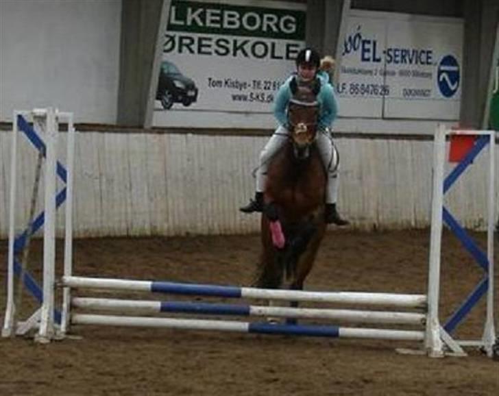 Anden særlig race Penelope<3 billede 3