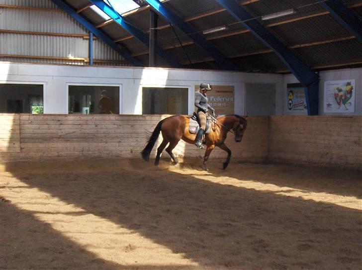 Anden særlig race Lady Liva - R.I.P - 16. august 09 billede 10