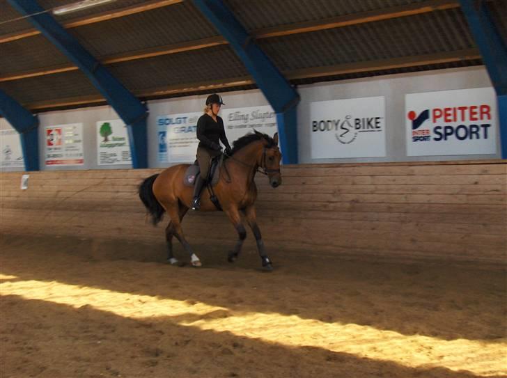 Anden særlig race Lady Liva - R.I.P - 16. august 09 billede 11