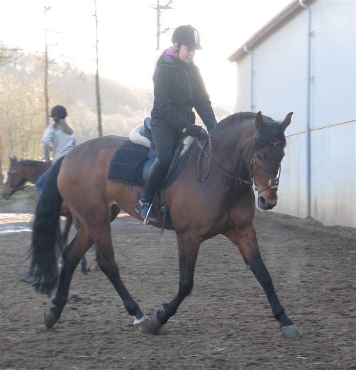 Anden særlig race Penelope<3 billede 4