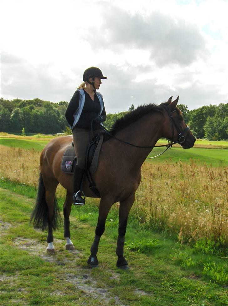 Anden særlig race Lady Liva - R.I.P - 16. august 09 billede 13