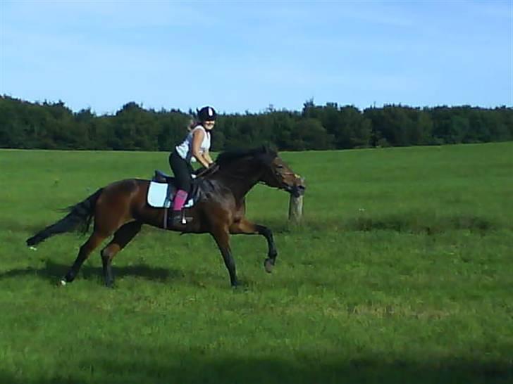 Anden særlig race Penelope<3 billede 5