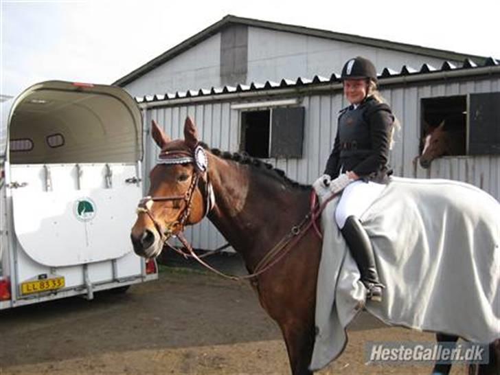 Anden særlig race Penelope<3 billede 6