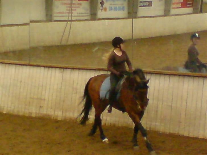 Anden særlig race Penelope<3 billede 7