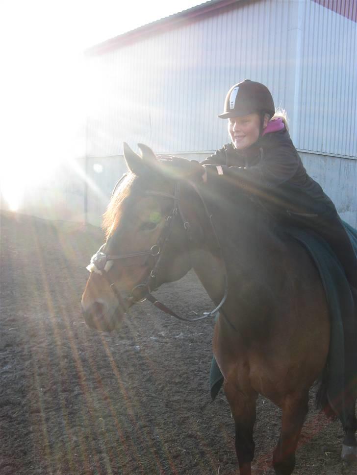 Anden særlig race Penelope<3 billede 12