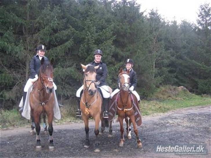 Anden særlig race Penelope<3 billede 13