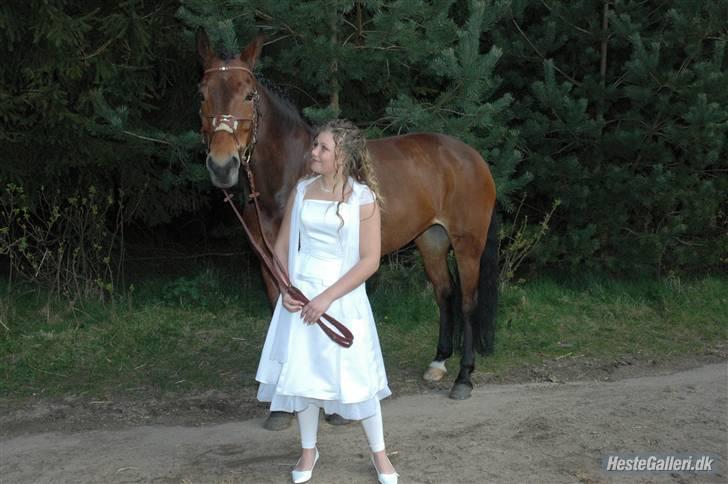 Anden særlig race Penelope<3 billede 15