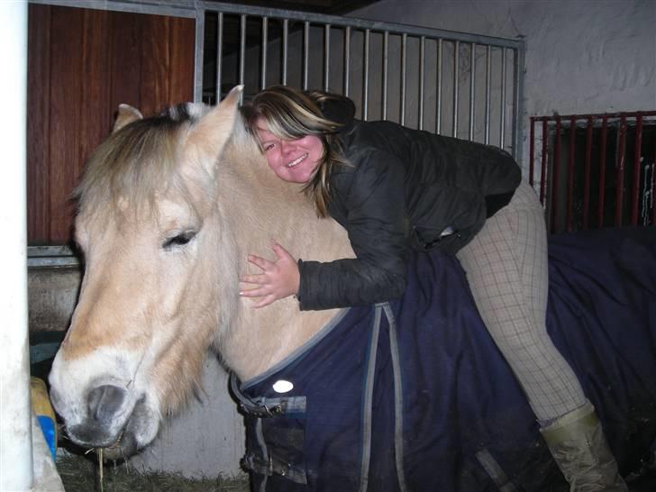 Fjordhest felix R.I.P - I love you felix. <3 billede 10