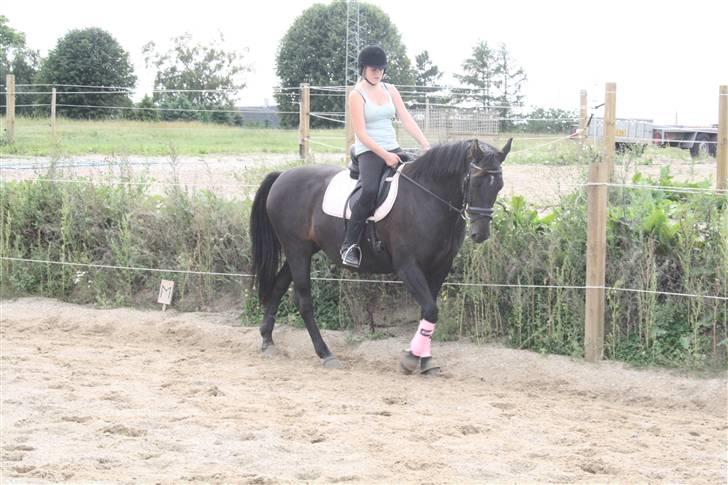 Oldenborg Dea gammel part.  - ude & ride <3 billede 10