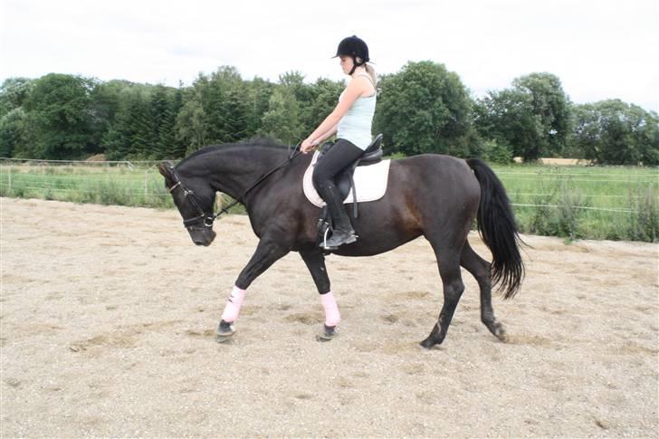 Oldenborg Dea gammel part.  - ude & ride <3 ILOVEYOU billede 11