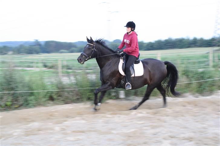 Oldenborg Dea gammel part.  - ude & ride hehe <3 udskyld at billedet er sløret <3 billede 13