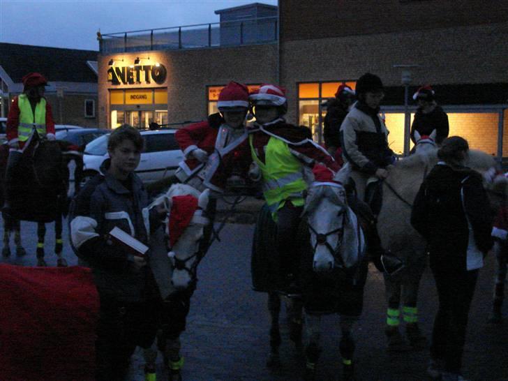 Welsh Pony (sec B) Korreborg's Gazella - gis der på jule tur i skoven  billede 12