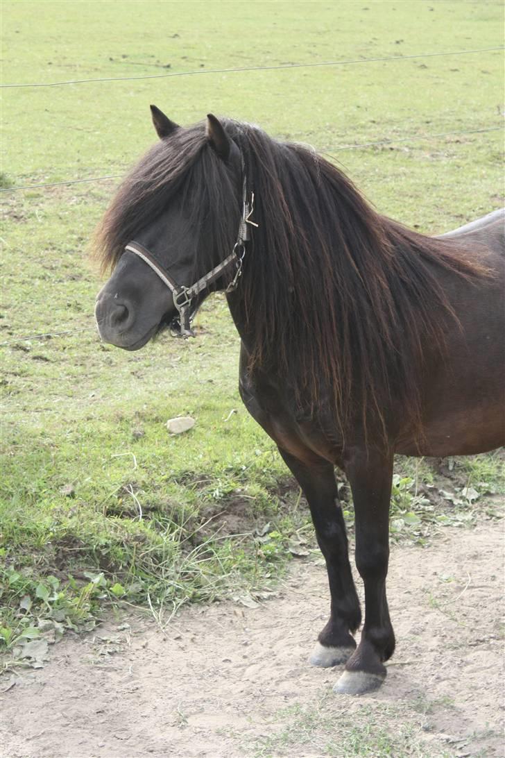 Anden særlig race Pedro - Pedro<3 Foto: Mig billede 1