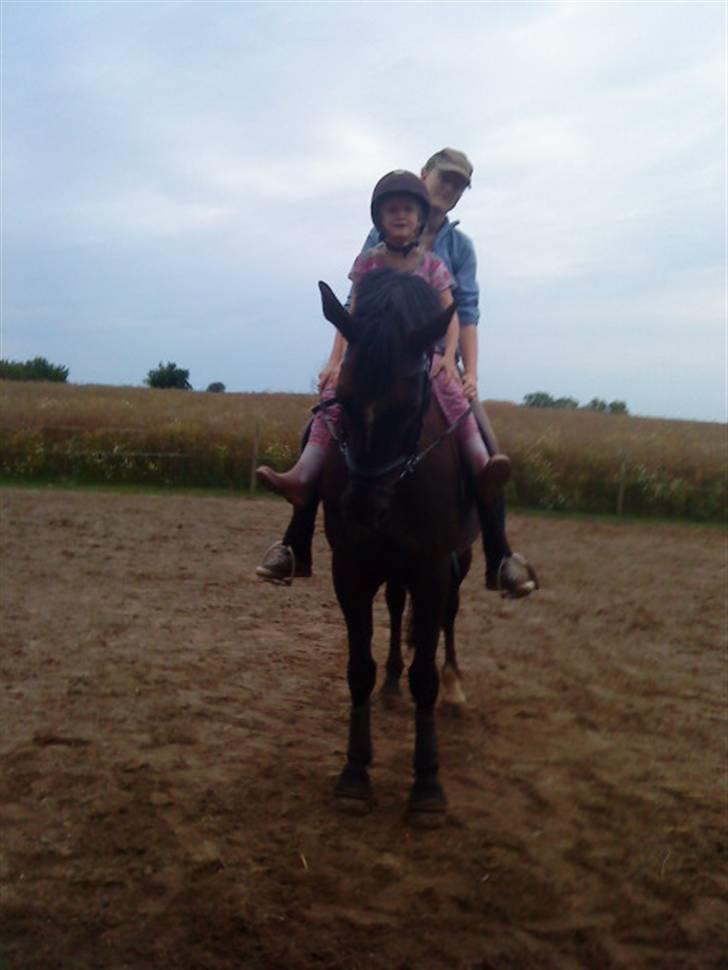 Anden særlig race joey *B-pony* - hihi<3 billede 17