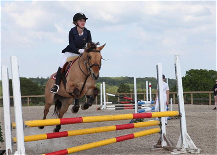 Anden særlig race Tulle - klubmesterskab 2010 billede 13