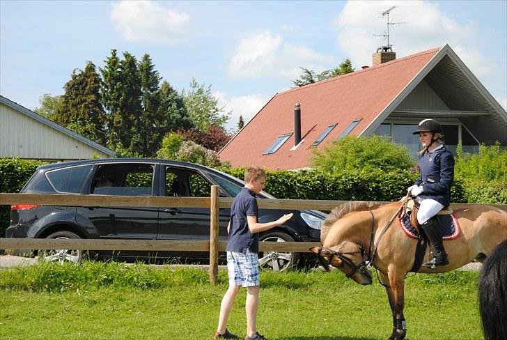 Anden særlig race Tulle - min lillebror vil hilse på tulle og tulle laver noget underligt med hovedet :P billede 14
