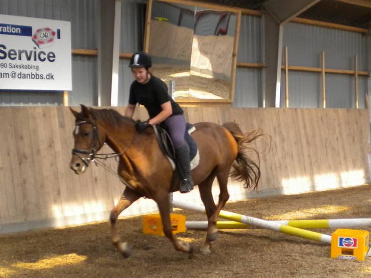 Anden særlig race flash/fersken solgt - har lige sprunget billede 6