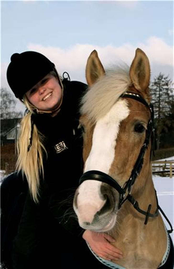 Haflinger Studgårdens Sally<3 *STJERNEN* Savnet :'(<3 - smukke sally .. taget af super fotografen signe rich.. billed til min konfirmation billede 7