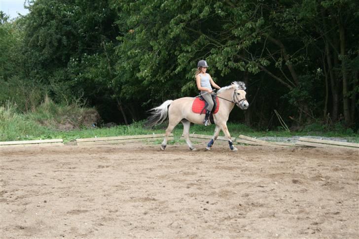 Fjordhest Elaiza Ore <3 |Gl part| - Elaiza og mig får time af Jens ;D Fotograf: Nana billede 10