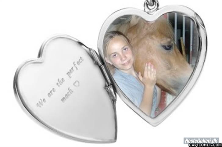 Anden særlig race Picasso!<3 - savnet. billede 14