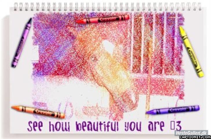 Anden særlig race Picasso!<3 - savnet. billede 16