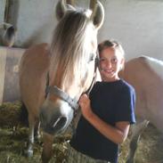 Fjordhest Fister (passer)aflivet.):