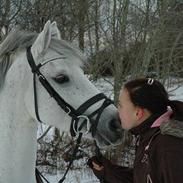 Anden særlig race Hovmarkens Lollipop R.I.P 11.12.13