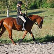 Frederiksborg Alli (Part)