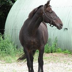 Oldenborg Jasmin (Død)