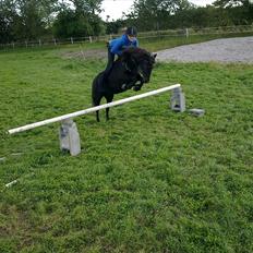 Anden særlig race trunte Min tyksak<3