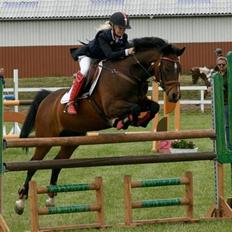 Anden særlig race Jussie