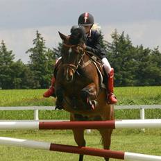 Anden særlig race Jussie